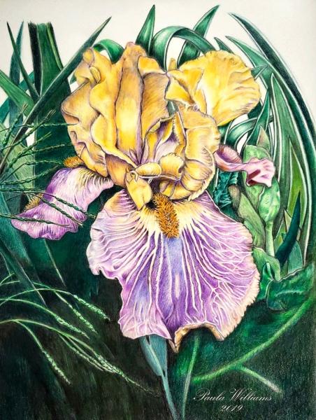 The Pencil Box - Featured Artists - January 2020