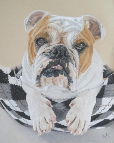 The Pencil Box - Featured Artists - February 2020