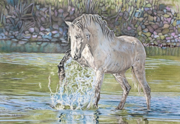The Pencil Box - Featured Artists - July 2020