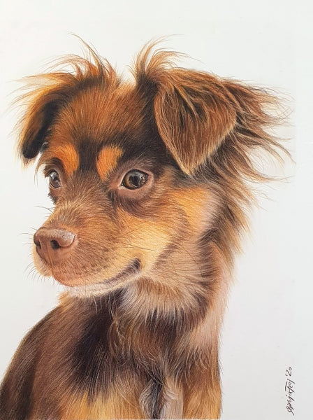The Pencil Box - Featured Artists - November 2020