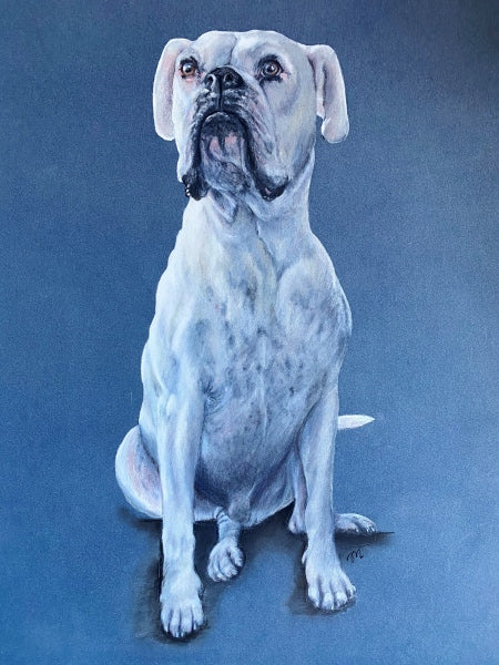 The Pencil Box - Featured Artists - March 2021