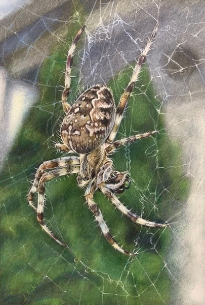 Learning to Love That Which We Fear