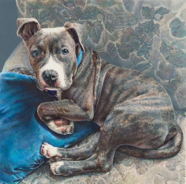 The Pencil Box - Featured Artists - December 2021