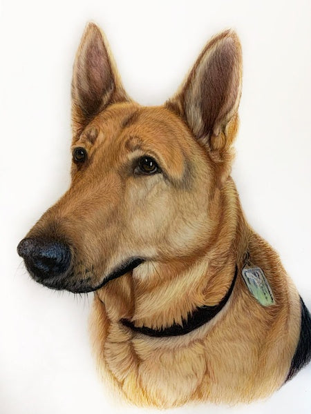 How My Coloured Pencil Community Has Helped Me Become A More Well-Rounded Artist