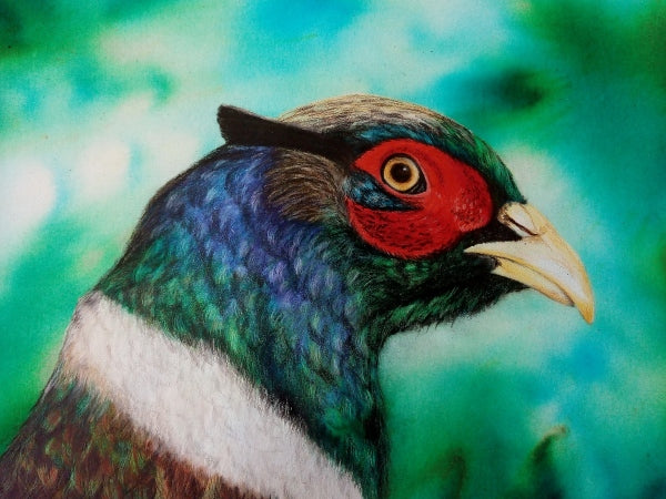The Pencil Box - Featured Artists - March 2022