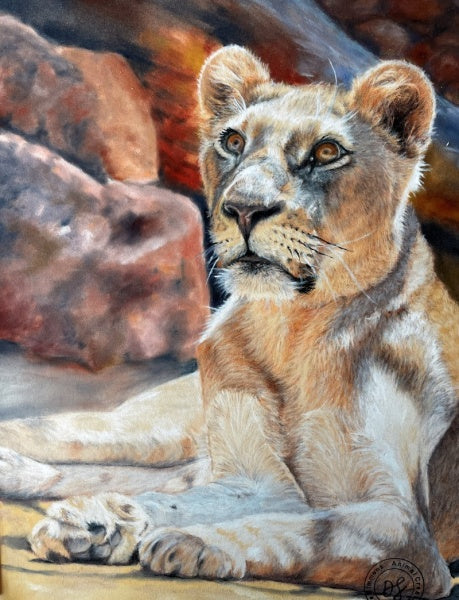Of Animals, Art and Awe