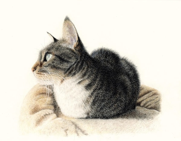 Coloured Pencil Art is my Mental Health Lifejacket