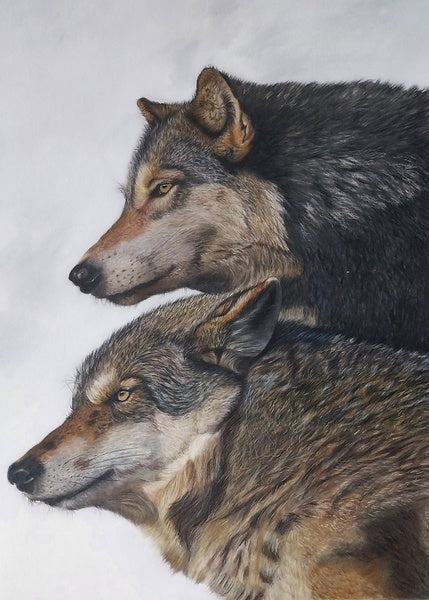 How I Became A Wildlife Artist
