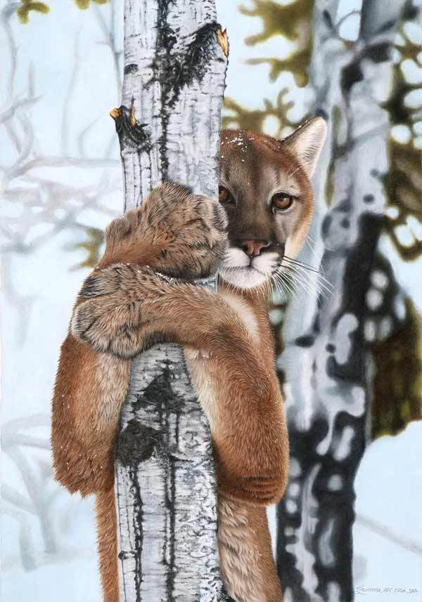 February 2020 Showcase - Colored Pencil Artwork