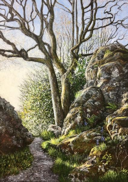 The Beauty of Landscapes