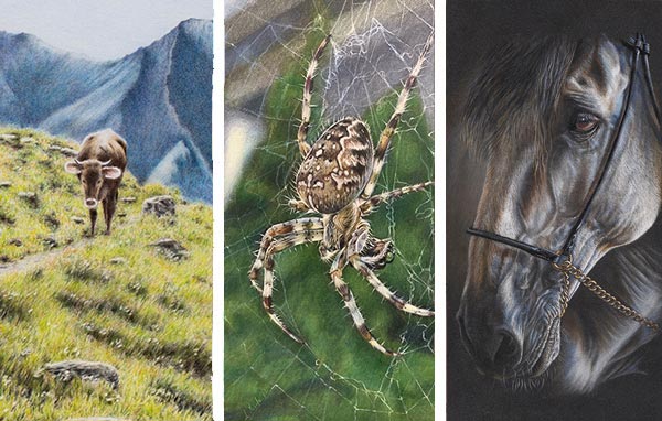 June 2023 Showcase - Colored Pencil Artwork