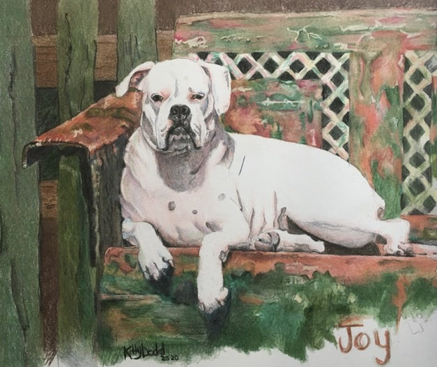 How My Passion For Color Pencil Became An Obsession