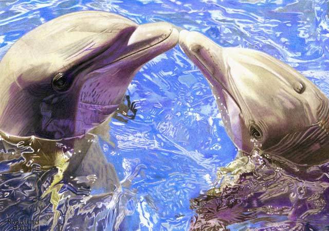 January 2020 Showcase - Colored Pencil Artwork