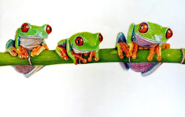 The Pencil Box - Featured Artists - July 2022