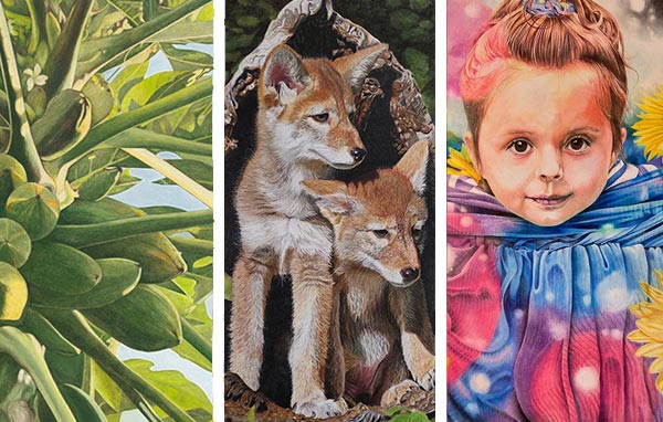 September 2023 Showcase - Colored Pencil Artwork