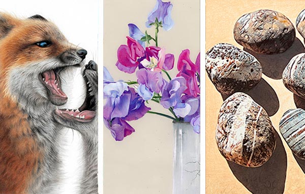 January 2023 Showcase - Colored Pencil Artwork