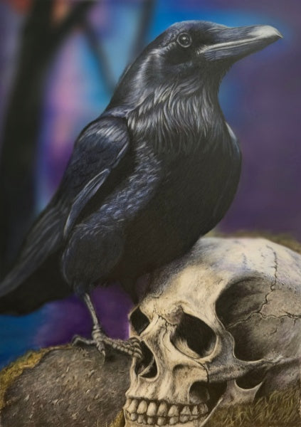 The Pencil Box - Featured Artists - January 2026