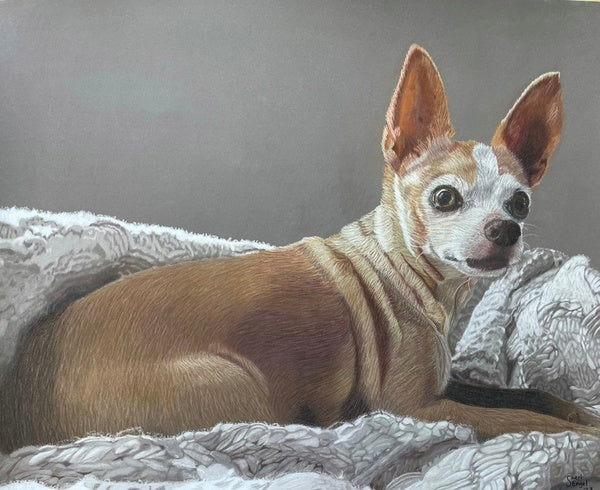 The Pencil Box - Featured Artists - June 2023