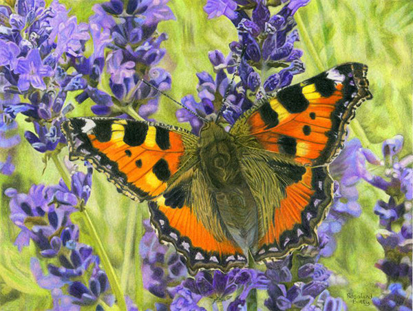 How My Disabilities Helped Me Become a Professional Colored Pencil Artist