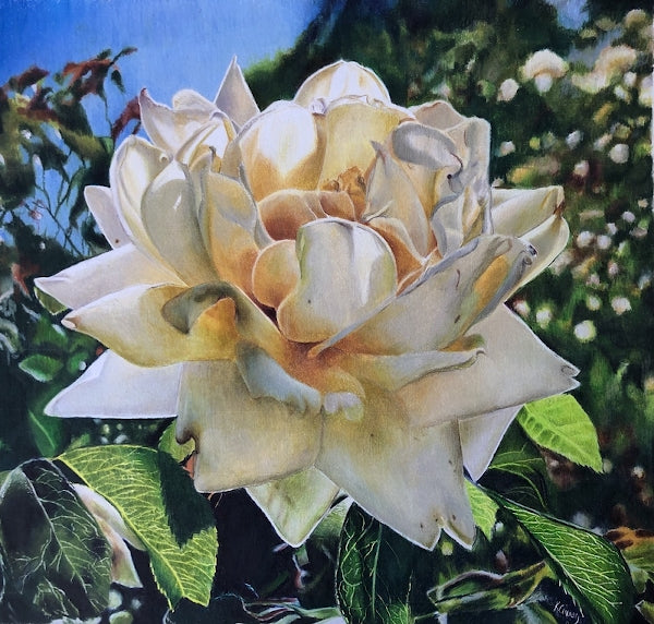 Colored Pencil—Getting That Feeling of Flow