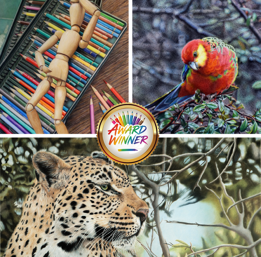 Professional Honorable Mentions | 27th Annual Member Show
