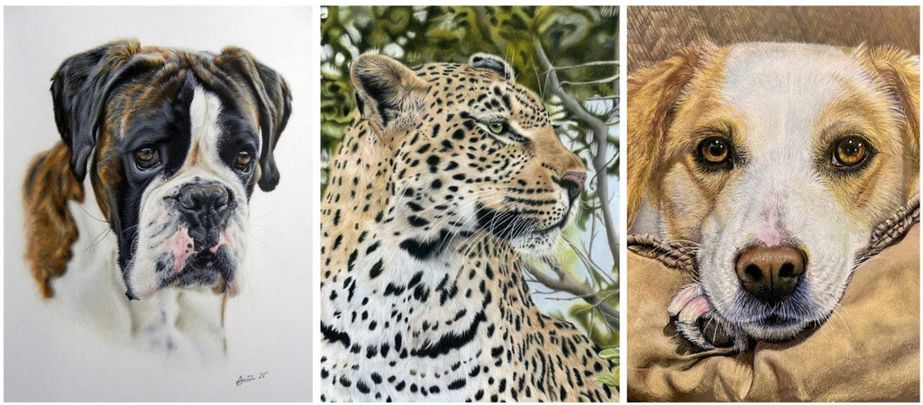 May 2026 Showcase - Colored Pencil Artwork
