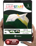 Jumpstart Bundle: Florals Only