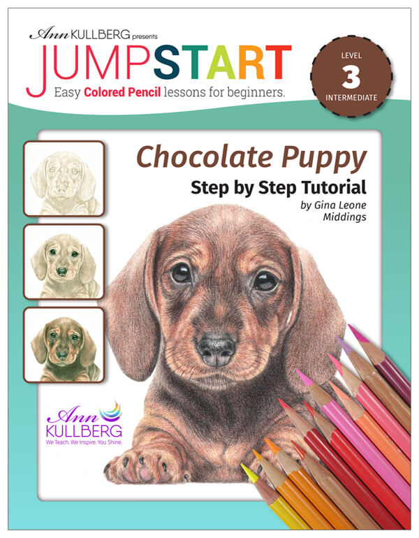 Jumpstart Level 3: Chocolate Puppy