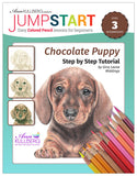 Jumpstart Level 3: Chocolate Puppy
