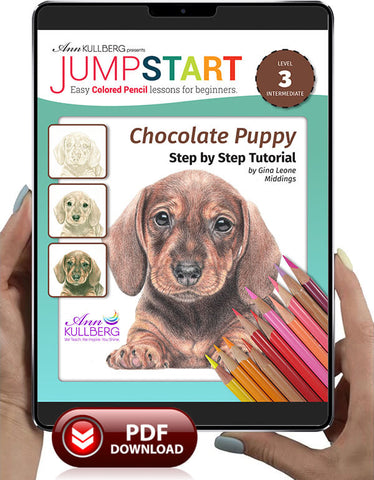 Jumpstart Level 3: Chocolate Puppy
