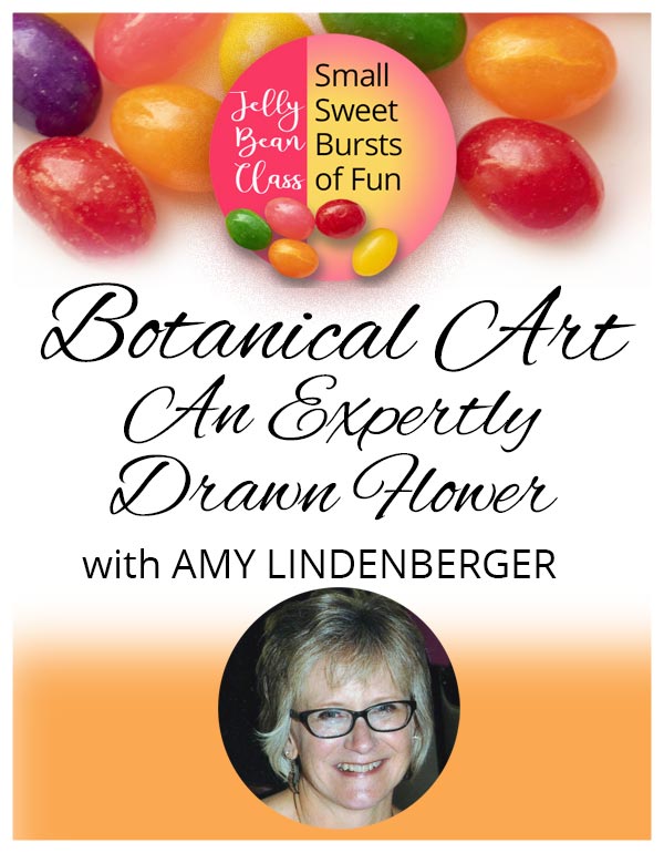 Botanical Art: An Expertly Drawn Flower - Jelly Bean Class with Amy Lindenberger