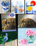 Painting in Colored Pencil: Favorite Things by Cynthia Knox