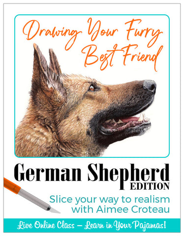 Drawing Your Furry Best Friend - German Shepherd Edition with Aimee Croteau