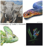 Wildlife Textures Series Pajama Class with Isobel Buckley