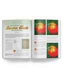 July 2024 - Ann Kullberg's COLOR Magazine - Instant Download