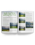 June 2024 - Ann Kullberg's COLOR Magazine - Instant Download
