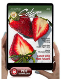 May 2024 - Ann Kullberg's COLOR Magazine - Instant Download