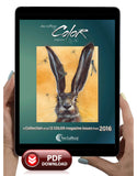COLOR 2016: Entire year of issues - COLOR Magazine Collection Book