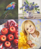 Painting in Colored Pencil - Sweet Things: Quick Start Pack