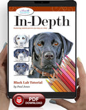 Black Lab: In-Depth Colored Pencil Tutorial