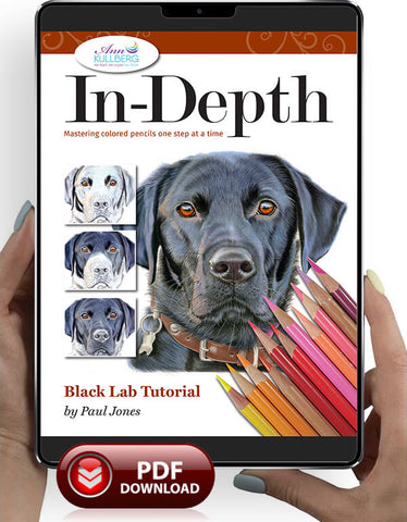 Black Lab: In-Depth Colored Pencil Tutorial