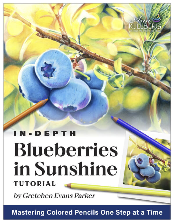 Blueberries in Sunshine: In-Depth Colored Pencil Tutorial