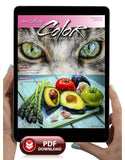 December 2018 - Ann Kullberg's COLOR Magazine - Instant Download