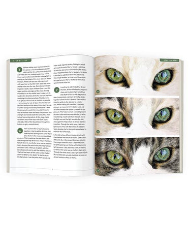 December 2018 - Ann Kullberg's COLOR Magazine - Instant Download