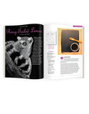 April 2019 - Ann Kullberg's COLOR Magazine - Instant Download