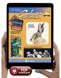 November 2019 - Ann Kullberg's COLOR Magazine - Instant Download