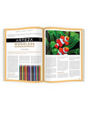 April 2020 - Ann Kullberg's COLOR Magazine - Instant Download