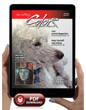 July 2020 - Ann Kullberg's COLOR Magazine - Instant Download