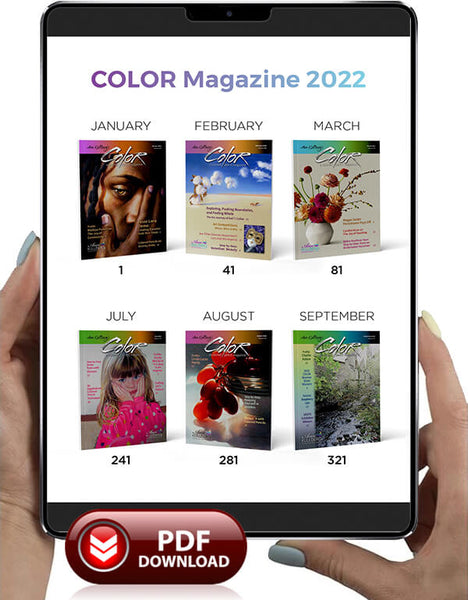COLOR 2022 Entire year of issues - COLOR Magazine Collection Book