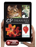 CP Treasures - Volume III
